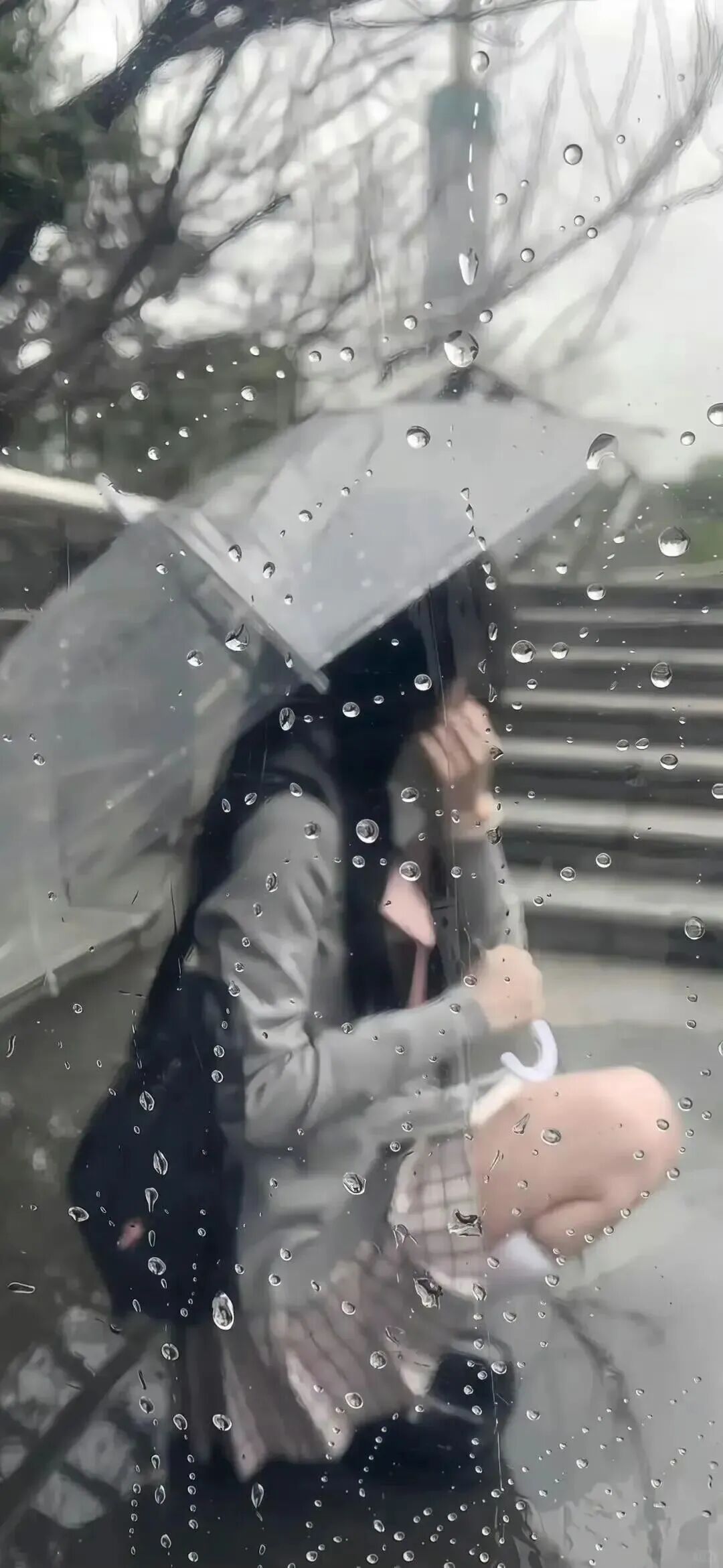 抖音热门