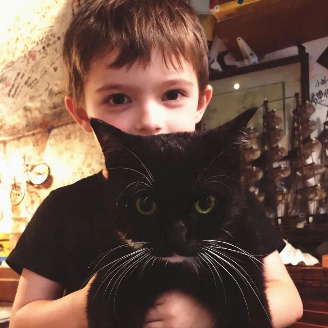 可爱抱着猫咪小男孩萌娃头像