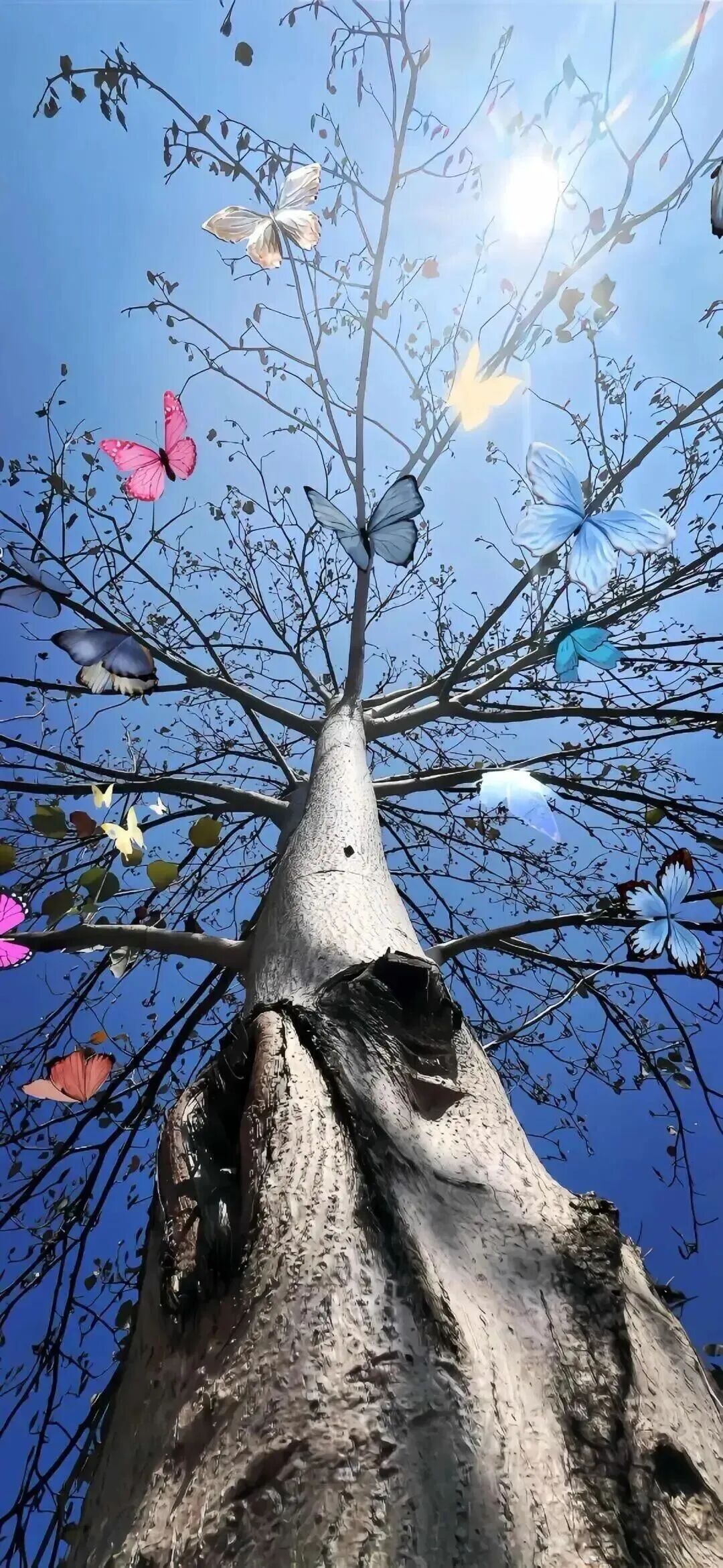 风景