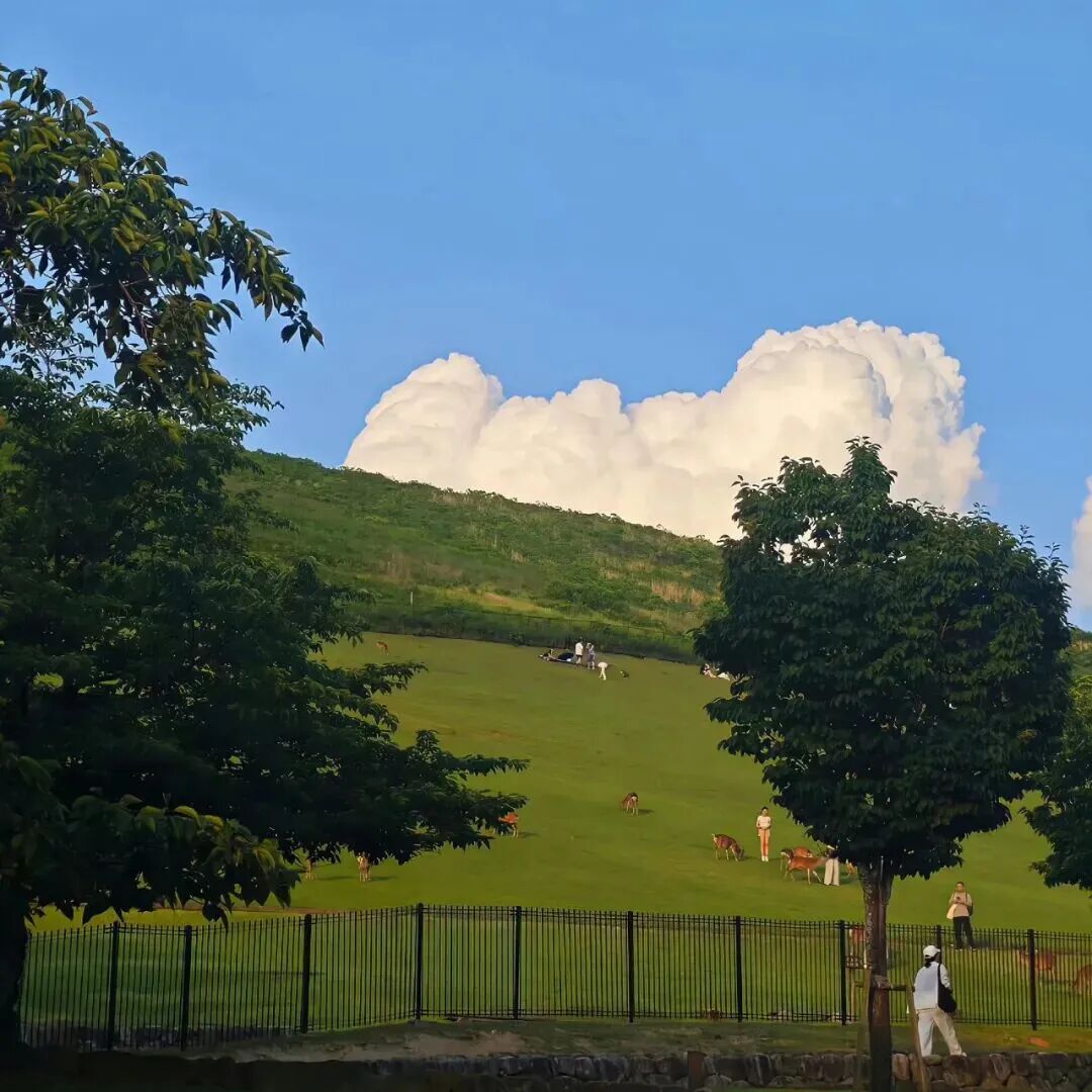 绿色朋友圈背景图