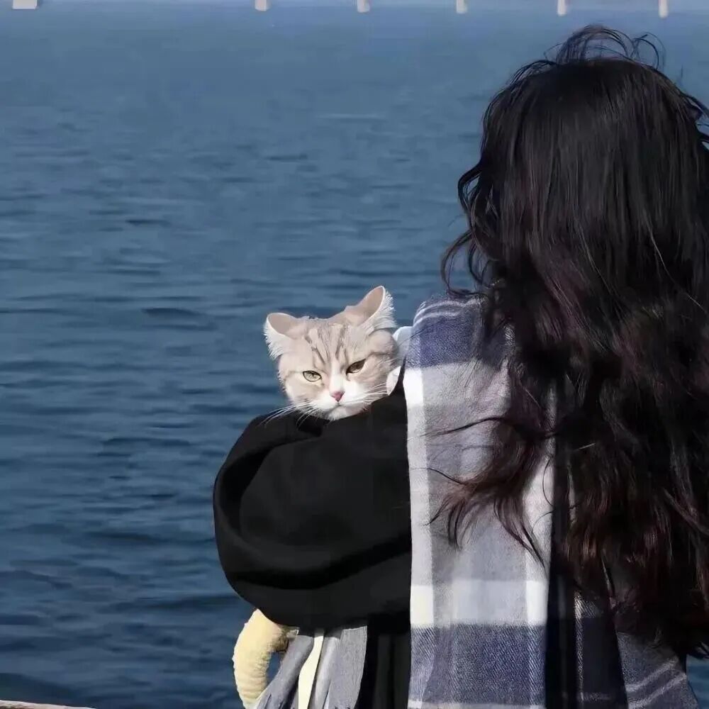 nuzbamcateyuanliu抱着猫咪海边情侣头像