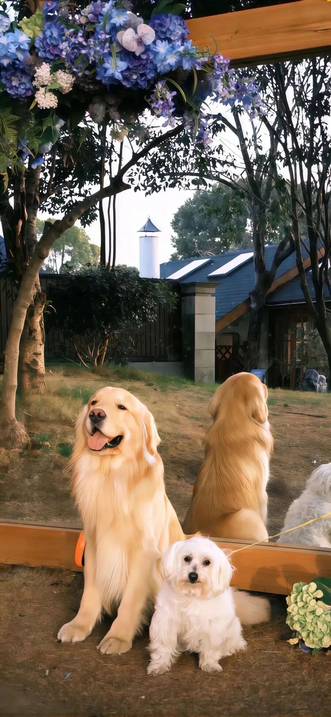 什锦