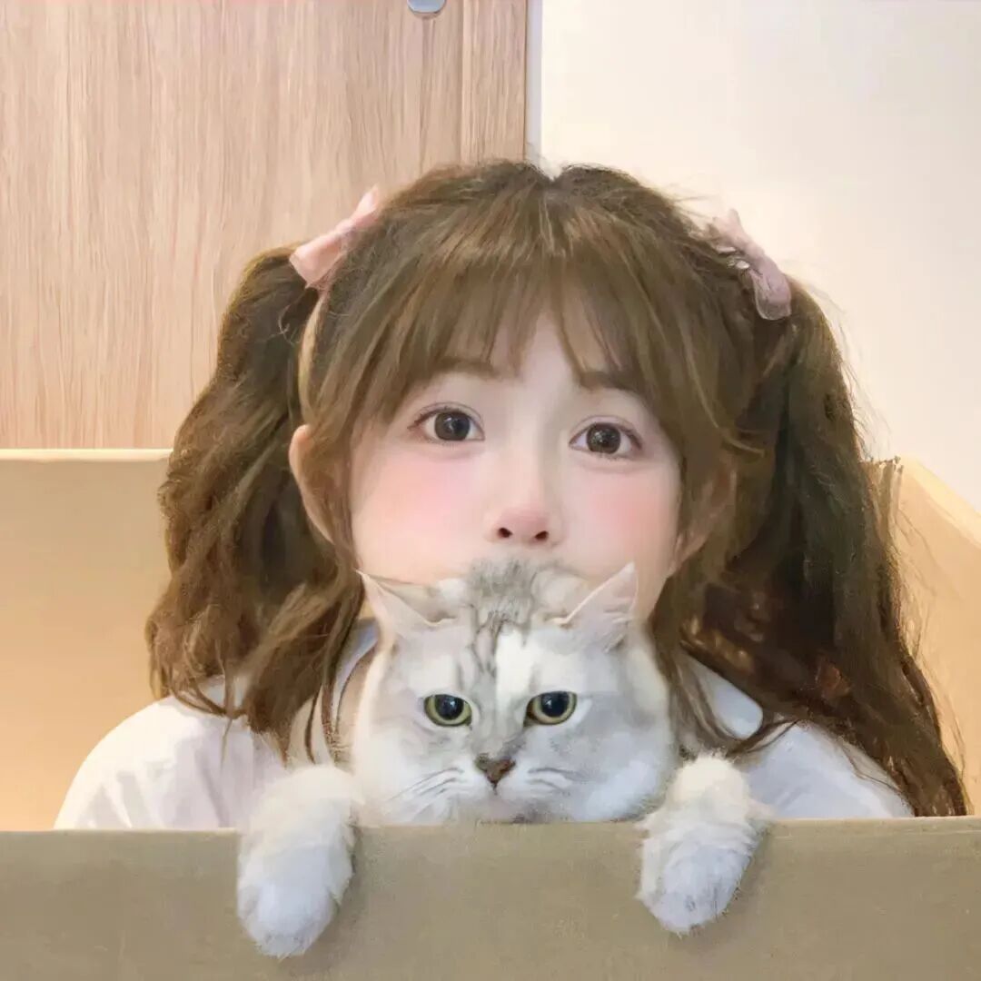 抱着猫咪少萝女生头像