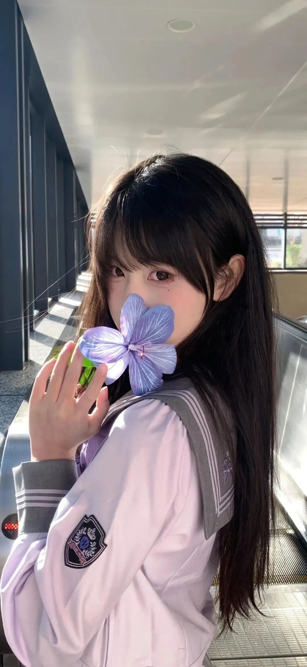 抖音热门
