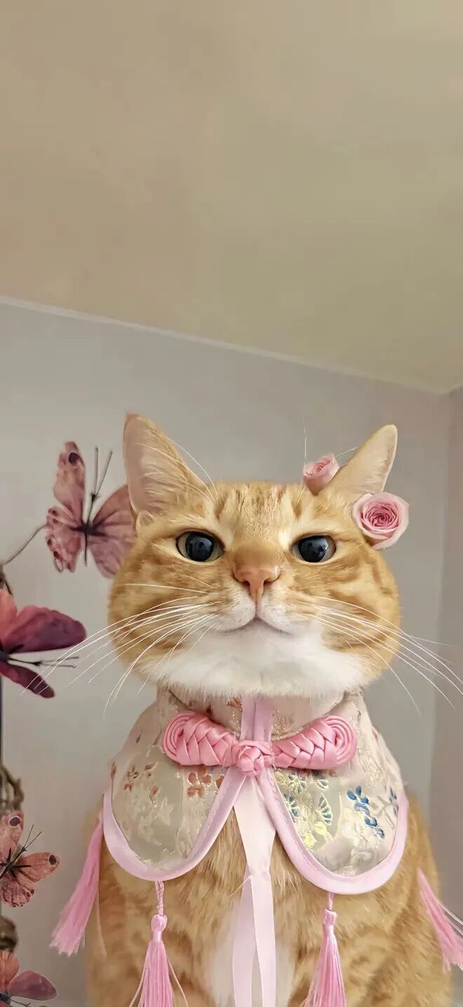 什锦