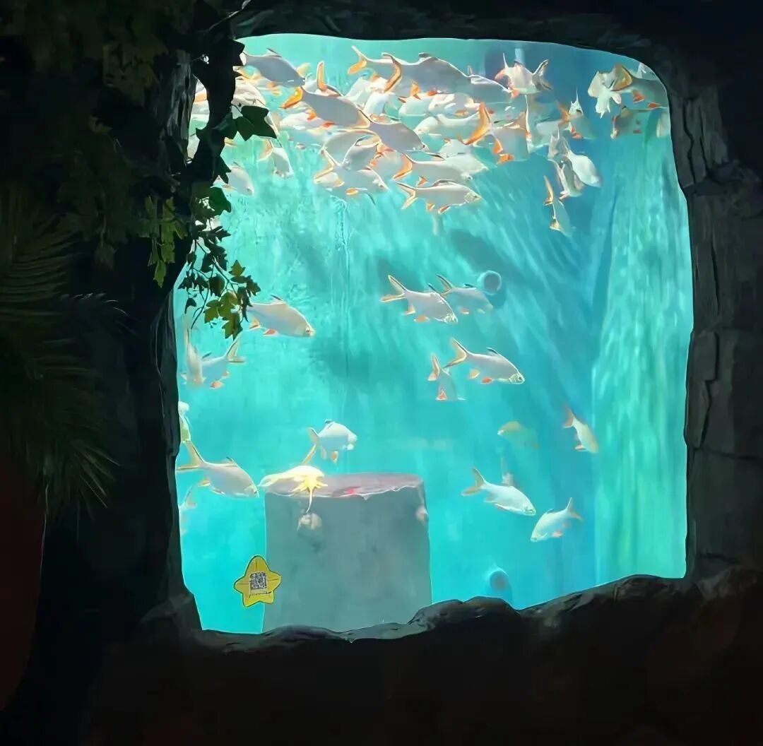 浅蓝色背景图