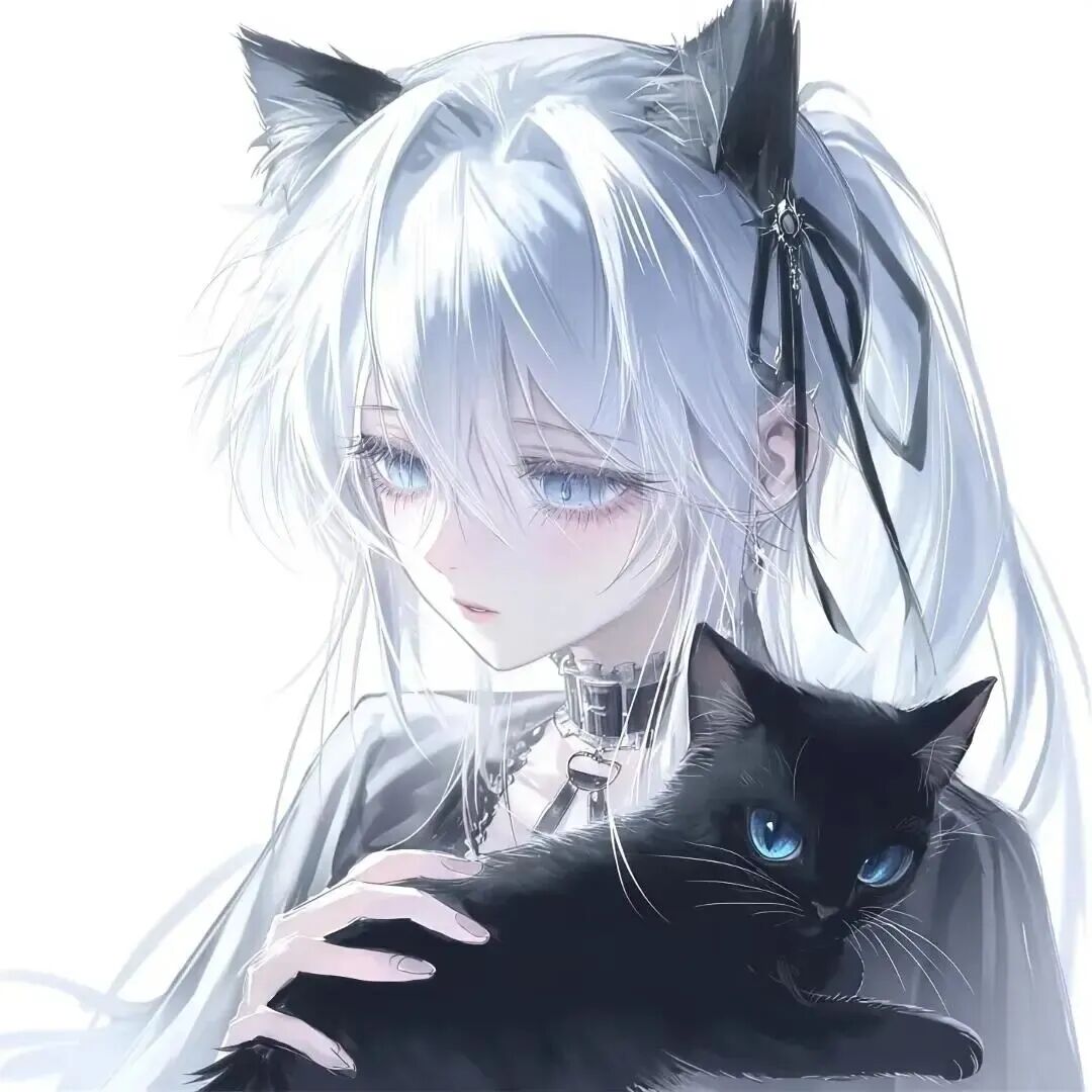 抱着猫咪高冷动漫头像女