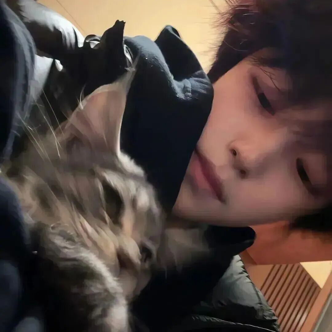 抱着猫咪小众男生头像
