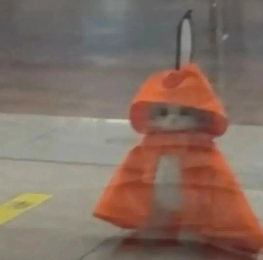 沙雕搞怪猫咪萌宠头像