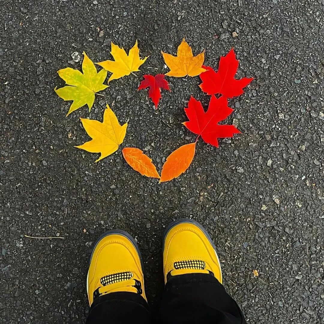 枫叶秋天朋友圈背景图