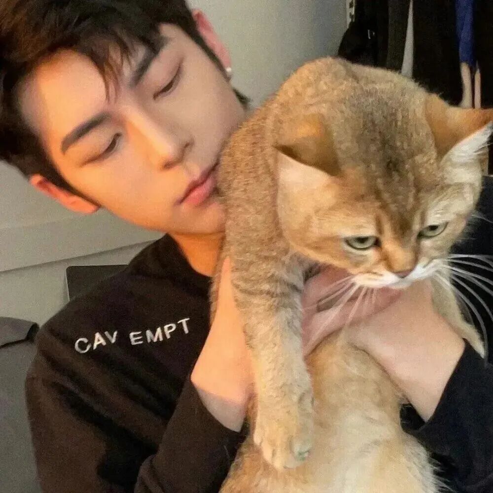 nbcareplmbvxialuote抱着猫咪单人真人情侣头像