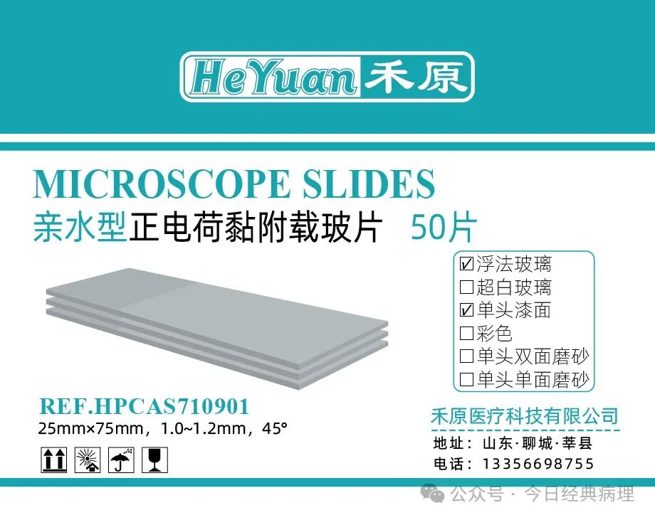 病理保存液有哪些病理学技术 ▏组织的固定_https://www.jmylbn.com_新闻资讯_第1张