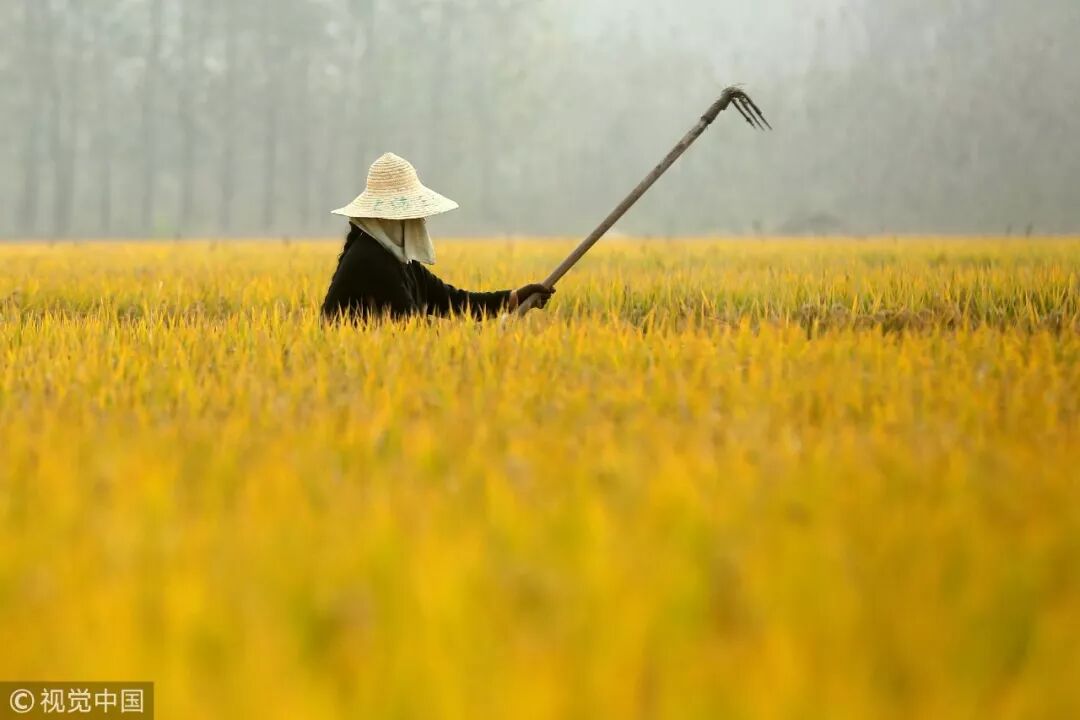 1500Ԫ�Ĵ�Ƭ�����Ϲ��ħ�ã��������˼ҵ�ģ��