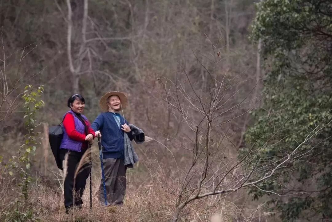 1500Ԫ�Ĵ�Ƭ�����Ϲ��ħ�ã��������˼ҵ�ģ��