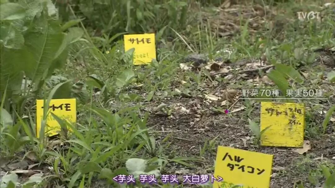 �ֱ�����Ƭ�õ�����������Ů���ѣ�����87�ꡱ