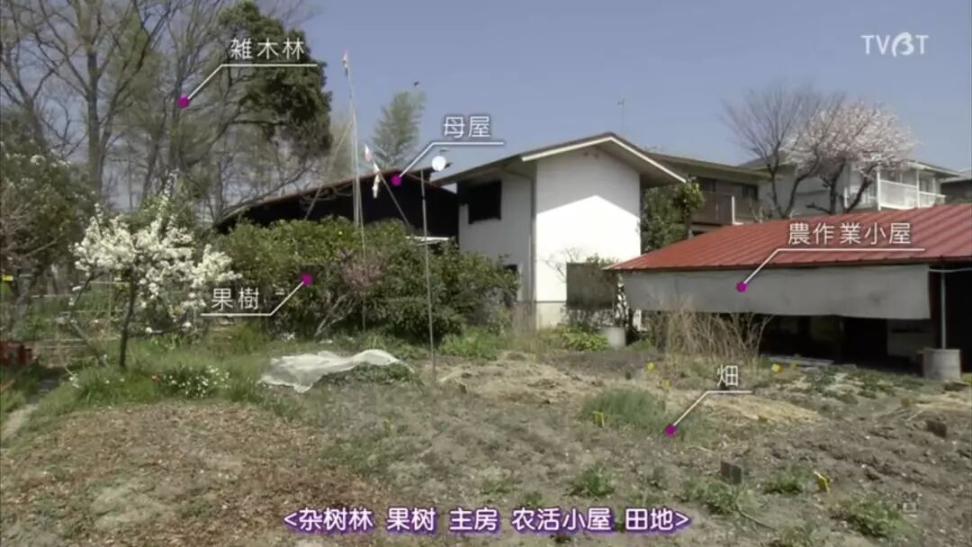 �ֱ�����Ƭ�õ�����������Ů���ѣ�����87�ꡱ