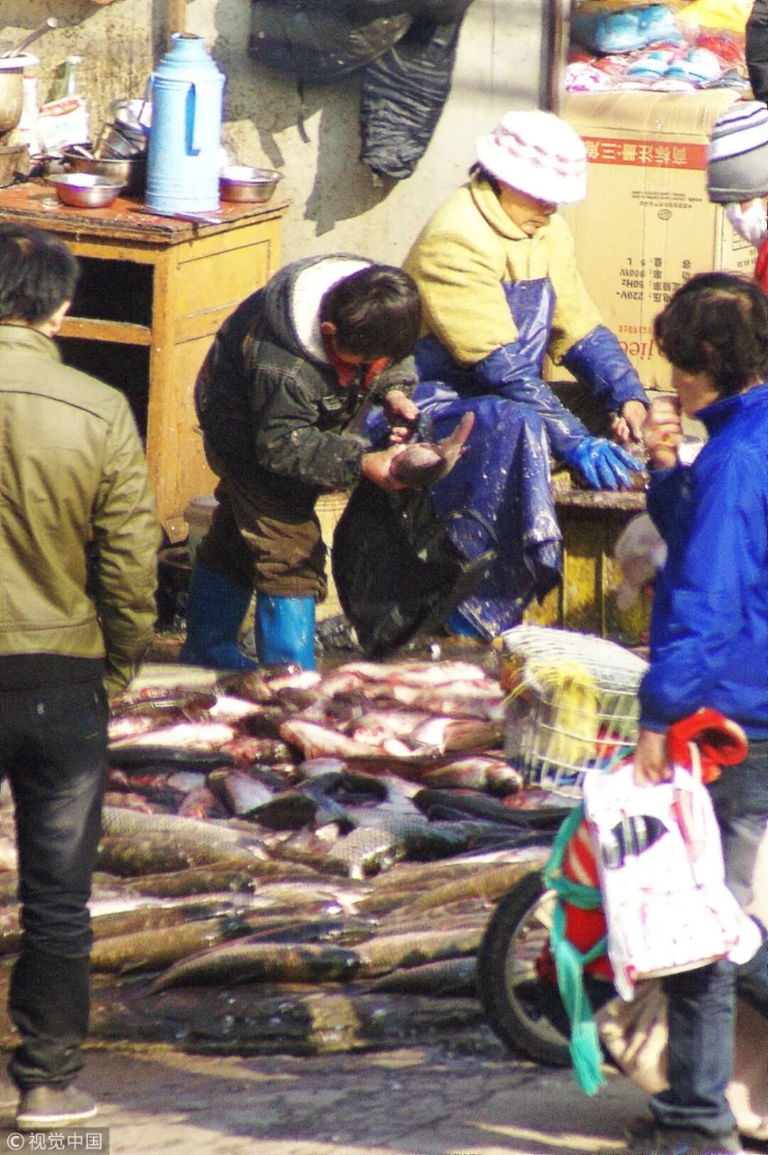 �����к����綾��ɱ�������º���������ĸ����