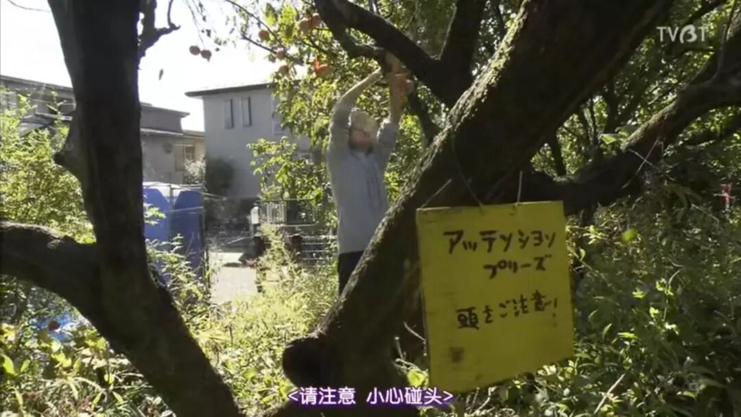 �ֱ�����Ƭ�õ�����������Ů���ѣ�����87�ꡱ