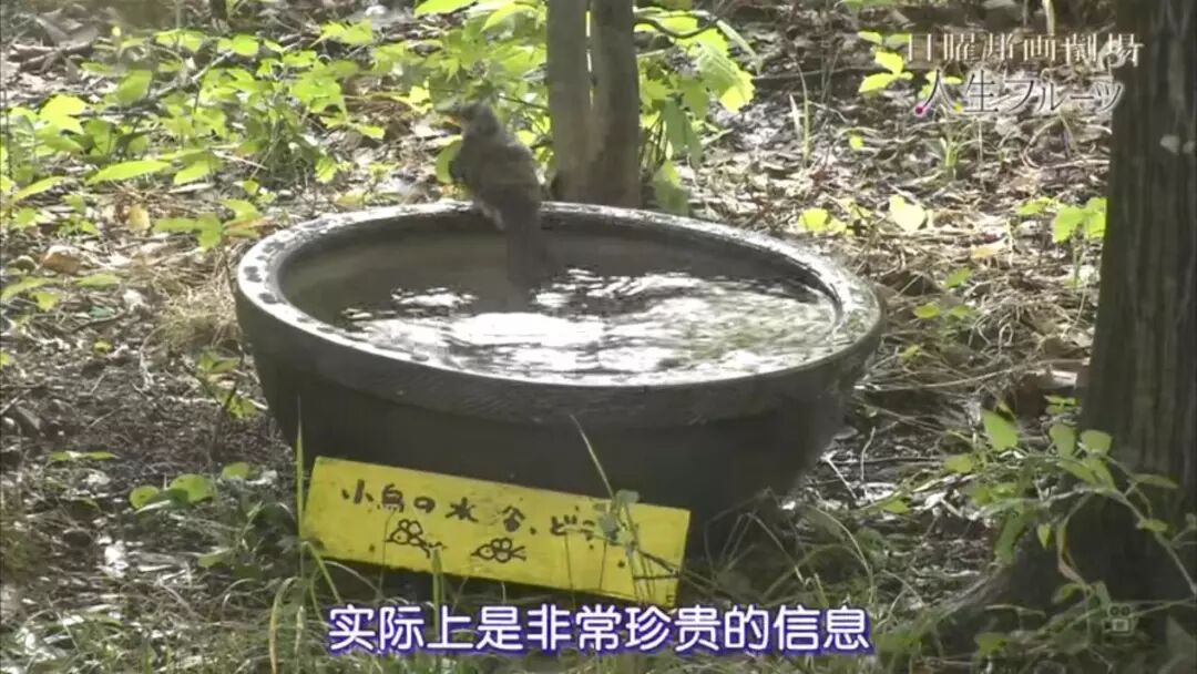 �ֱ�����Ƭ�õ�����������Ů���ѣ�����87�ꡱ