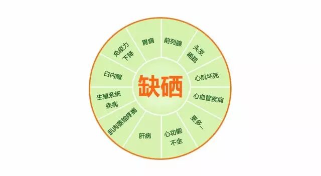 养生新篇章中国是一个缺硒大国人体补硒关系到亿万人民身体健康的大事