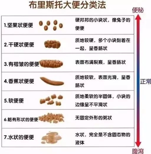 每天這個時間排便的人，可能更長壽！你是其中之一嗎？ 健康 第3張