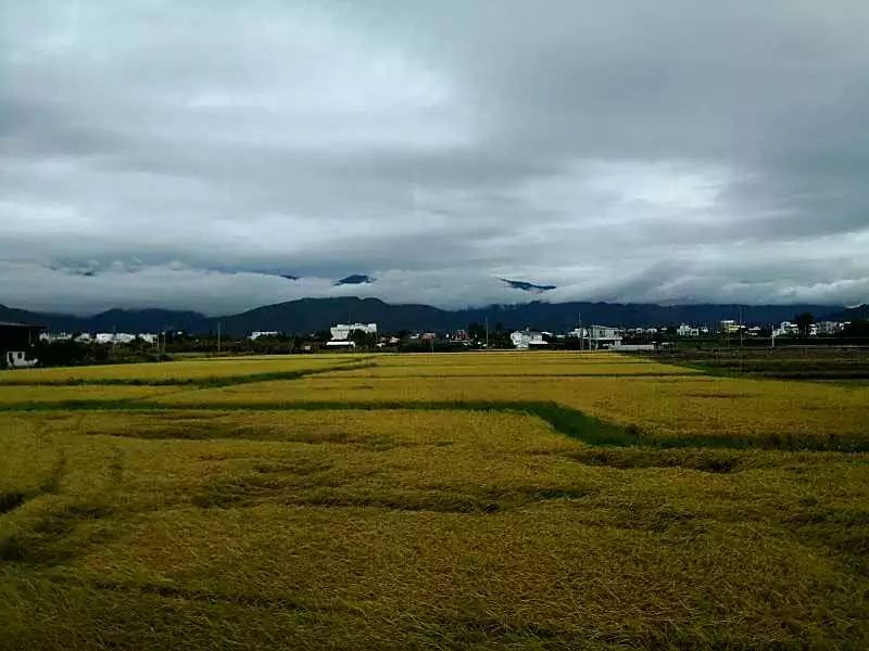 【藍瓶咖啡聯盟選文】台灣漫旅系列九 || 旅行，是為了找回另一個自己 旅行 第9張