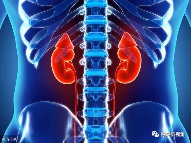 淫羊藿怎么泡酒效果比较好？推荐这3种制作方法，不妨一试