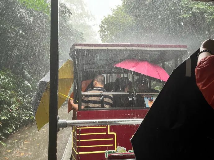 广州长隆野生动物园暴雨