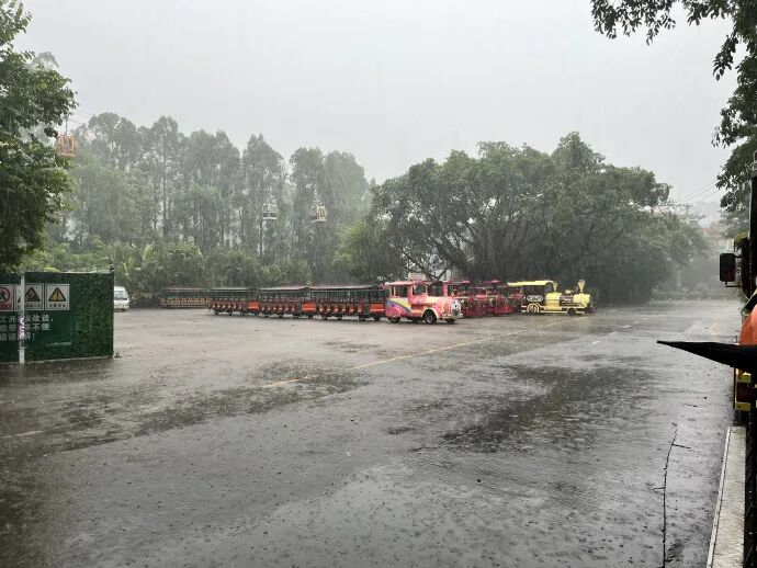 Guangzhou Changlong Safari Park in Rain