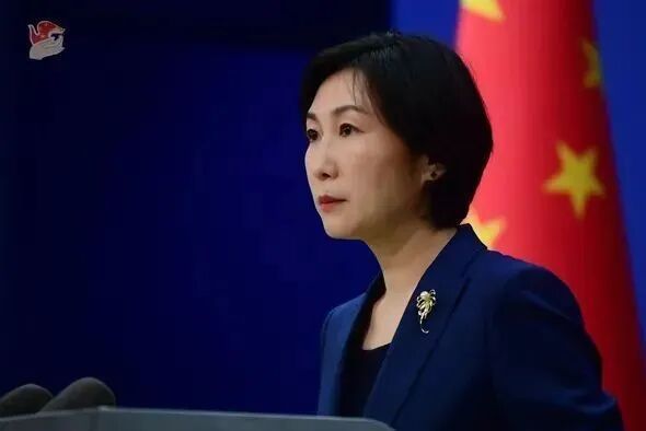 美智库提“中国就是商机”，外交部回应|中国|外交部|毛宁_新浪军事_新浪网