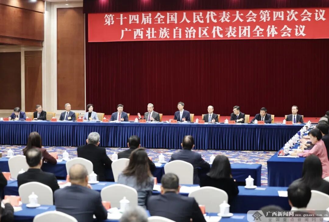 十四届全国人大四次会议广西代表团审议政府工作报告 王毅陈刚韦韬鹿心社等参加审议