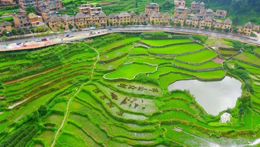 悦读嵩明