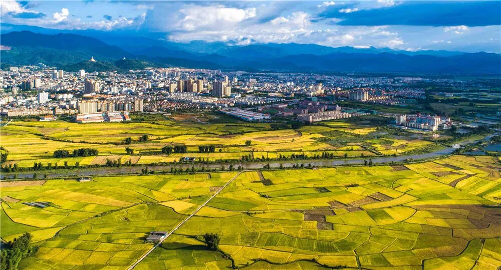 有一个美丽的地方叫德宏