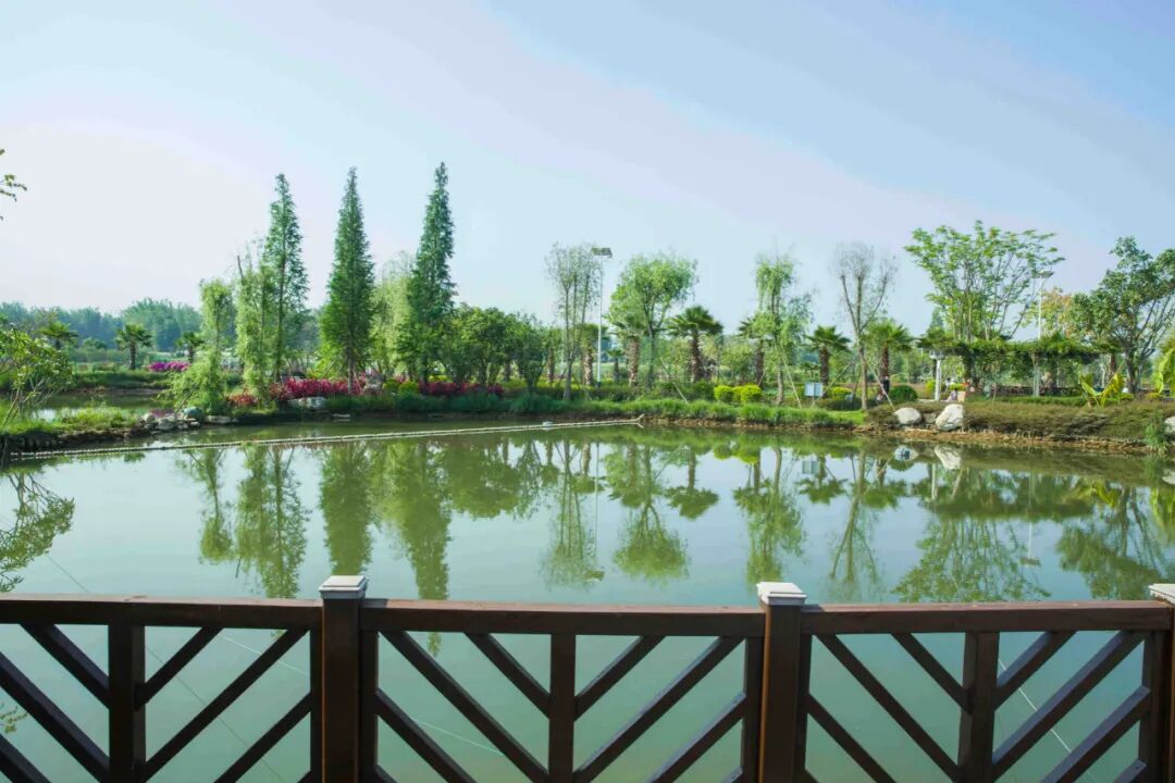 有一个美丽的地方叫德宏