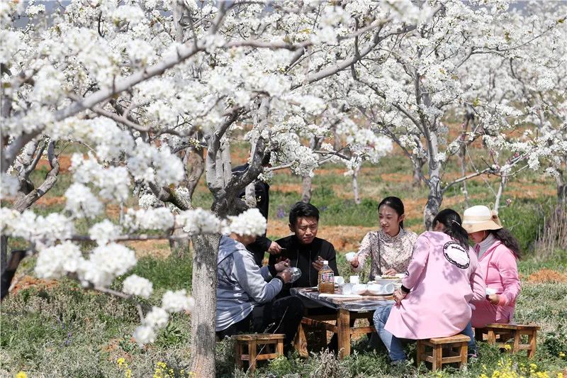 雲南137家A級景區門票價格公布！來雲南旅遊還有這些優惠 旅遊 第3張