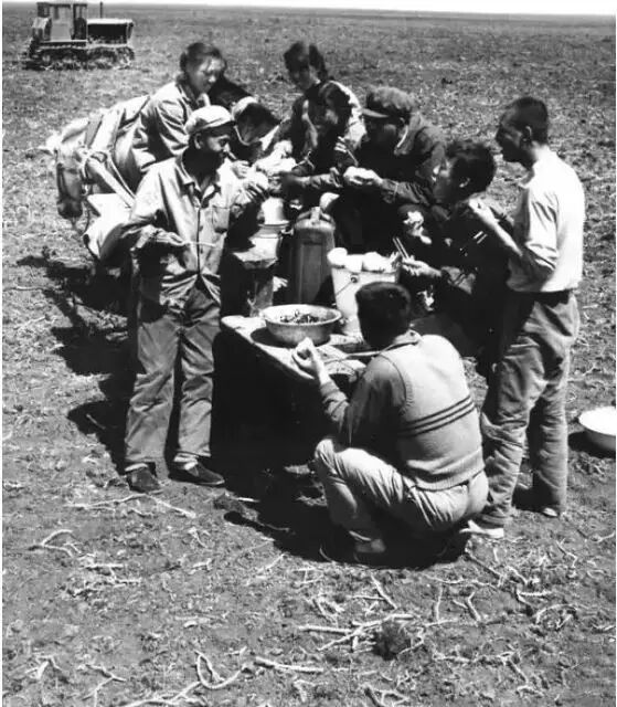 北大荒,黑龙江生产建设兵团19团的知青在田间吃午饭.