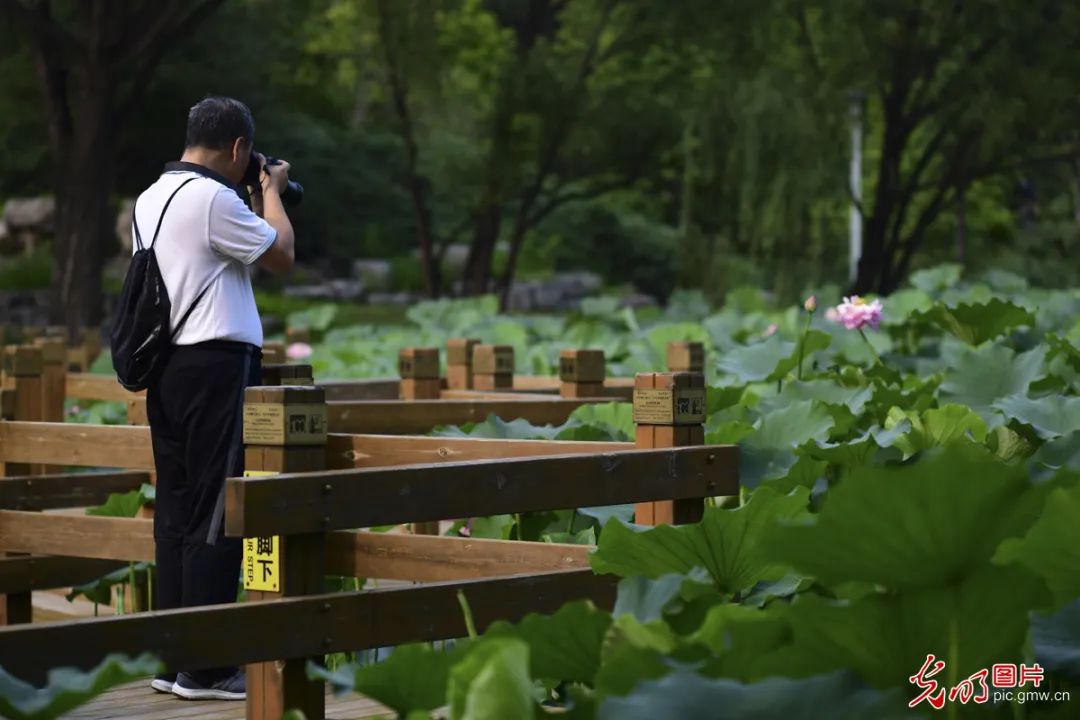 北京资讯