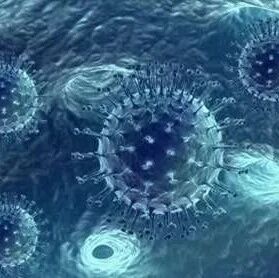 265名学生身体不适，确认病毒感染