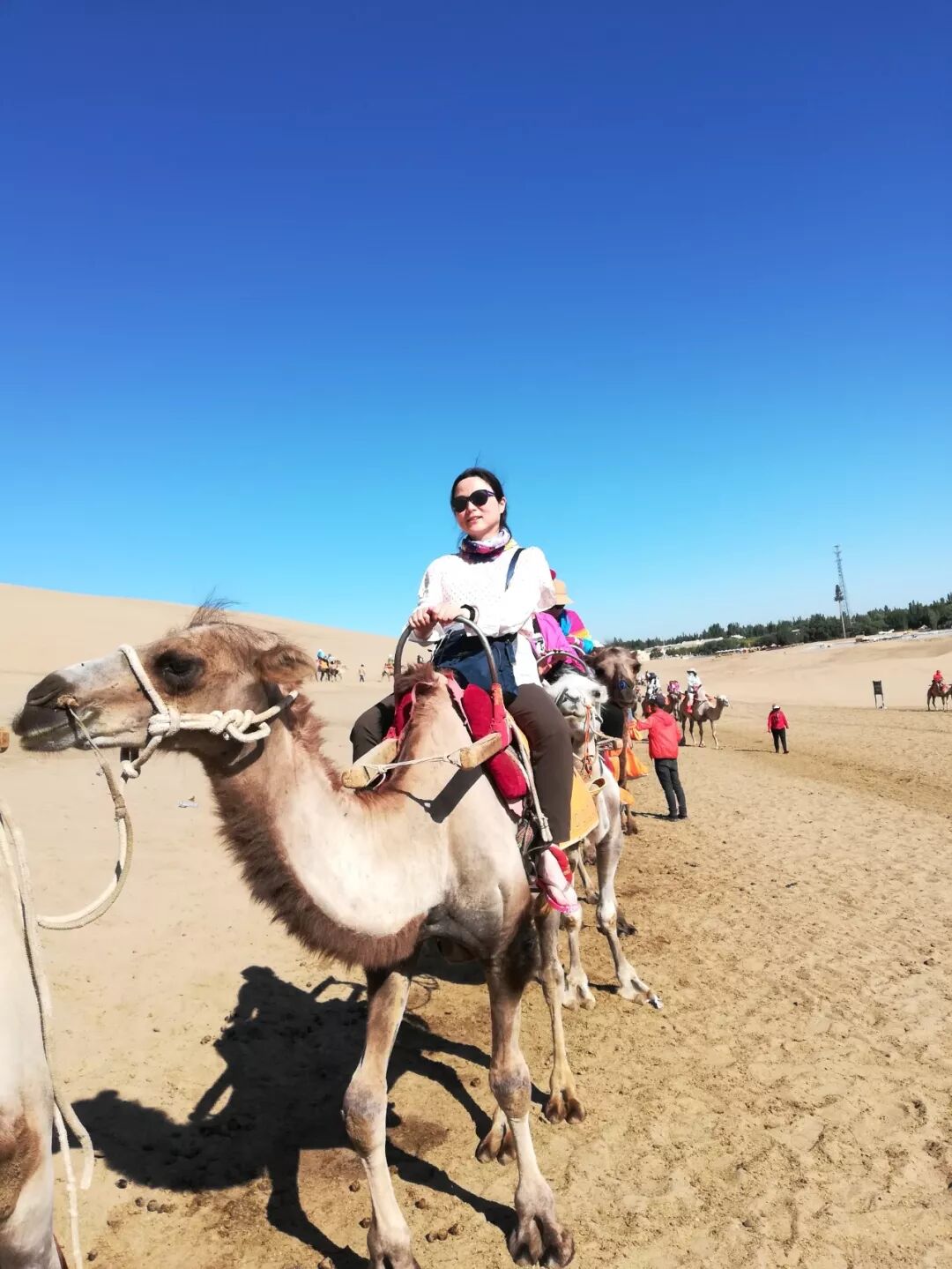 风景在路上 青甘大环线游记 Part 2 第1页