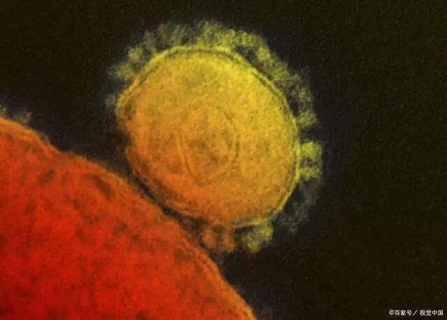 艾灸可提高人体免疫力，预防病毒感染？