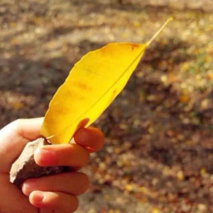 cpu温度70 电脑cpu温度显示过高怎么办？