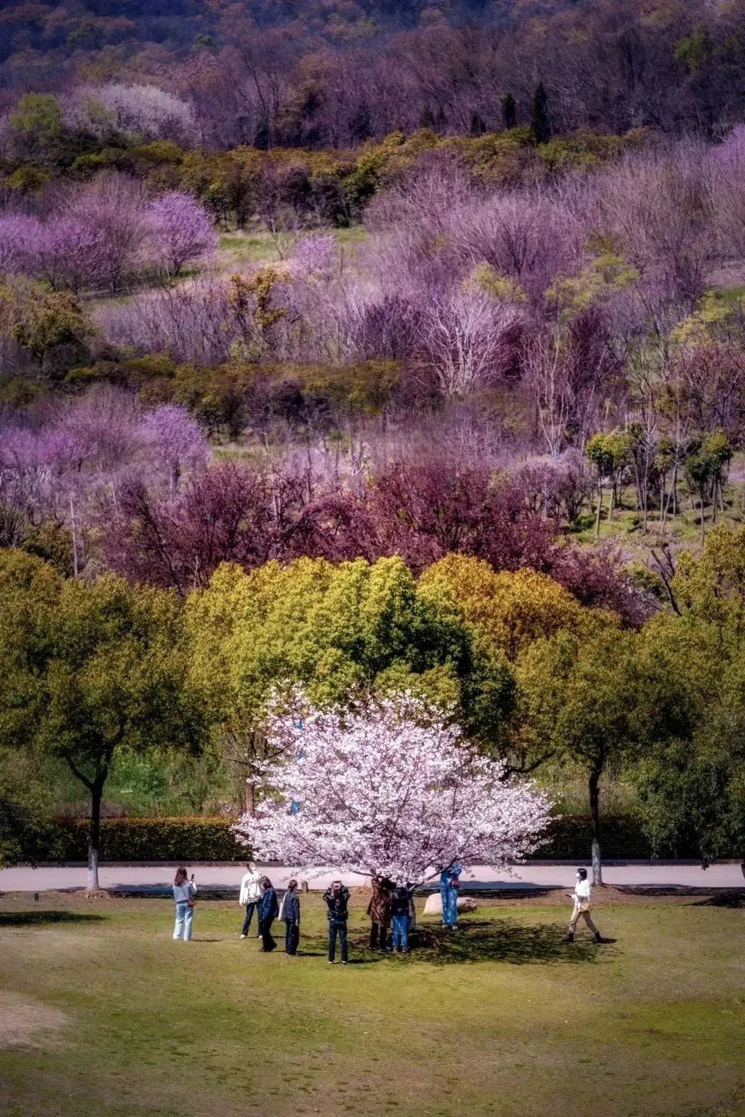 2013北京喜剧幽默大赛_一年一度喜剧大赛哪个台播_欢乐喜剧人未播片段