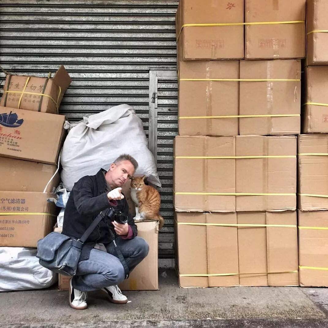 荷兰摄影师潜入香港，5年拍20000张猫片：不要因为走的太远，而忘了来时的路（组图） - 56