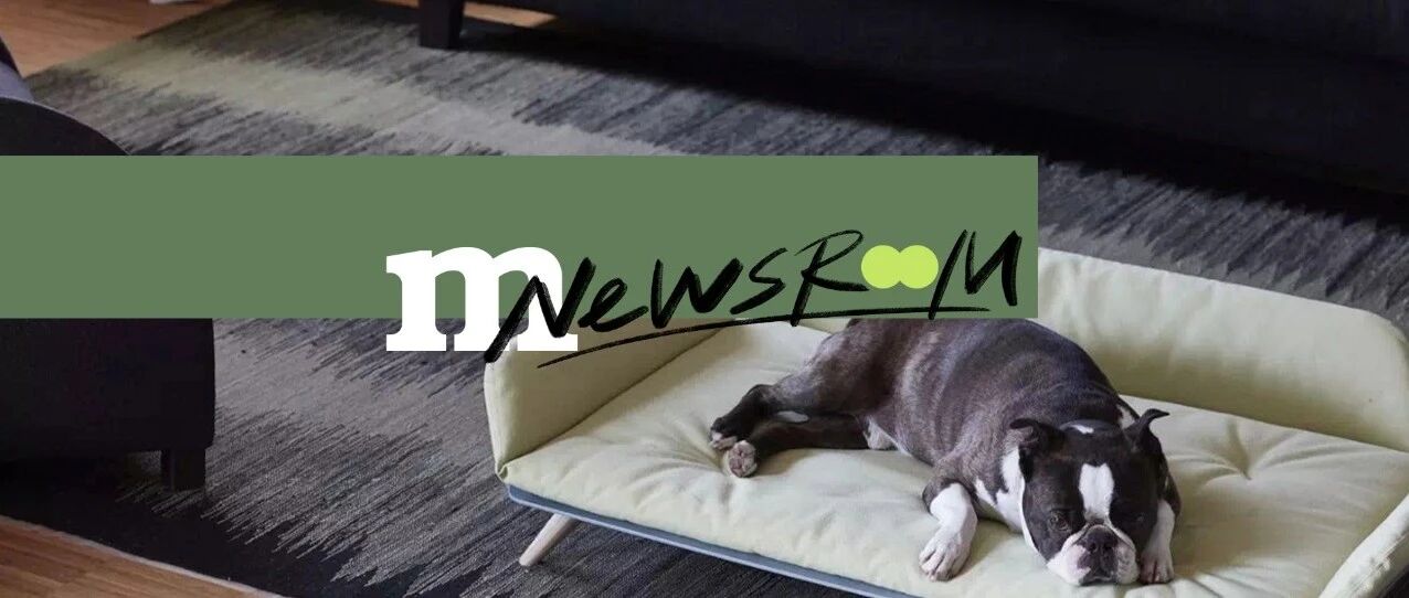 当你发工资时，家里最高兴的是你的宠物