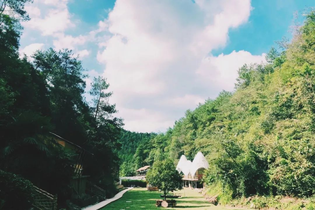 會玩｜抓住夏天的尾巴一起去露營吧 旅遊 第5張