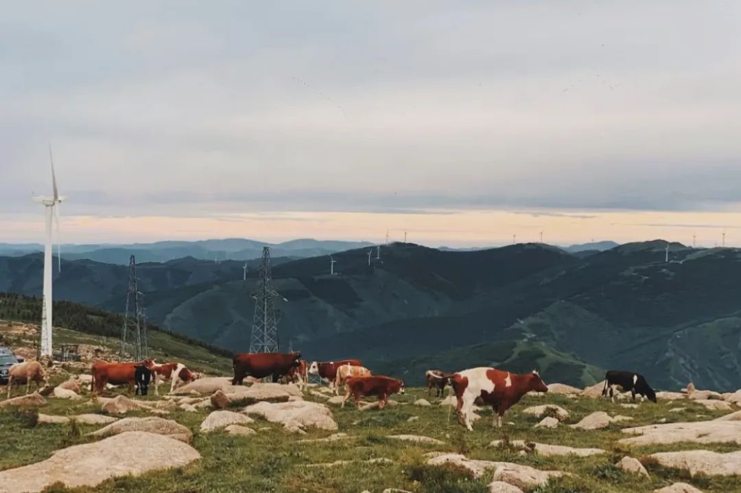 會玩｜抓住夏天的尾巴一起去露營吧 旅遊 第10張