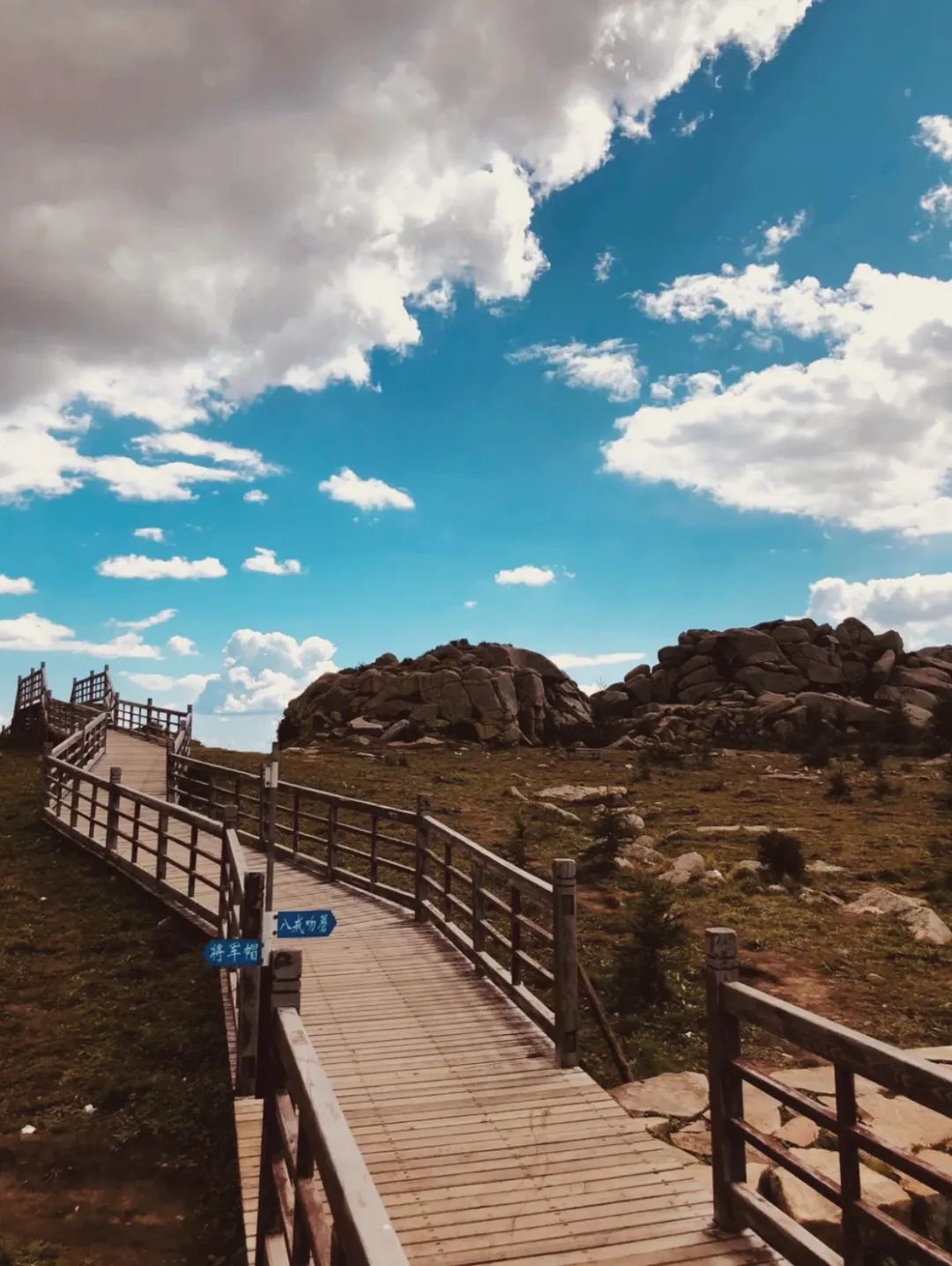 會玩｜抓住夏天的尾巴一起去露營吧 旅遊 第8張