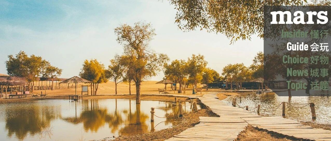 会玩｜这个秋天，我想带你去这些地方