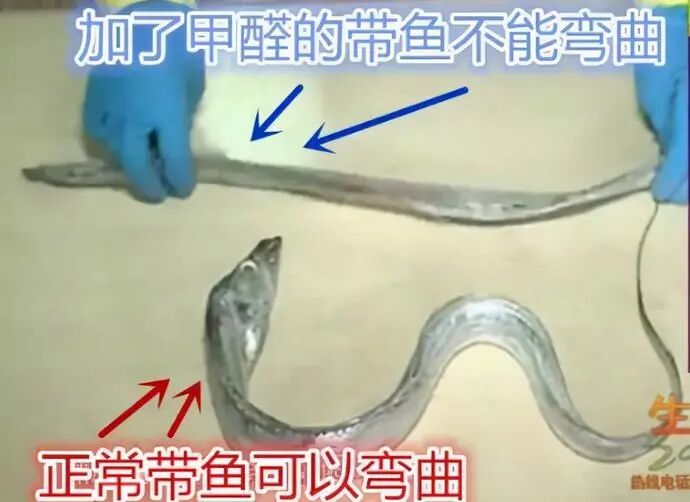 3.15未曝光的恶心黑幕：这5种肉甲醛重金属超多