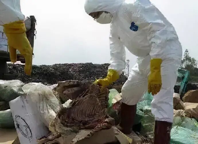 3.15未曝光的恶心黑幕：这5种肉甲醛重金属超多